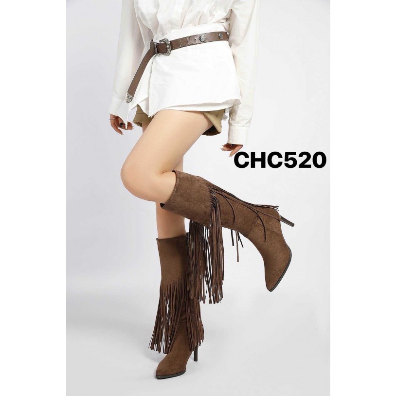 CHC520
