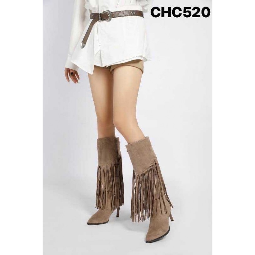 CHC520