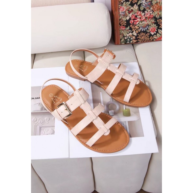 DM512-53 Grande pointure