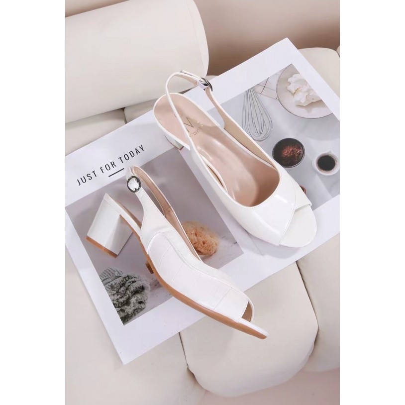 DMB83-2 Grande pointure