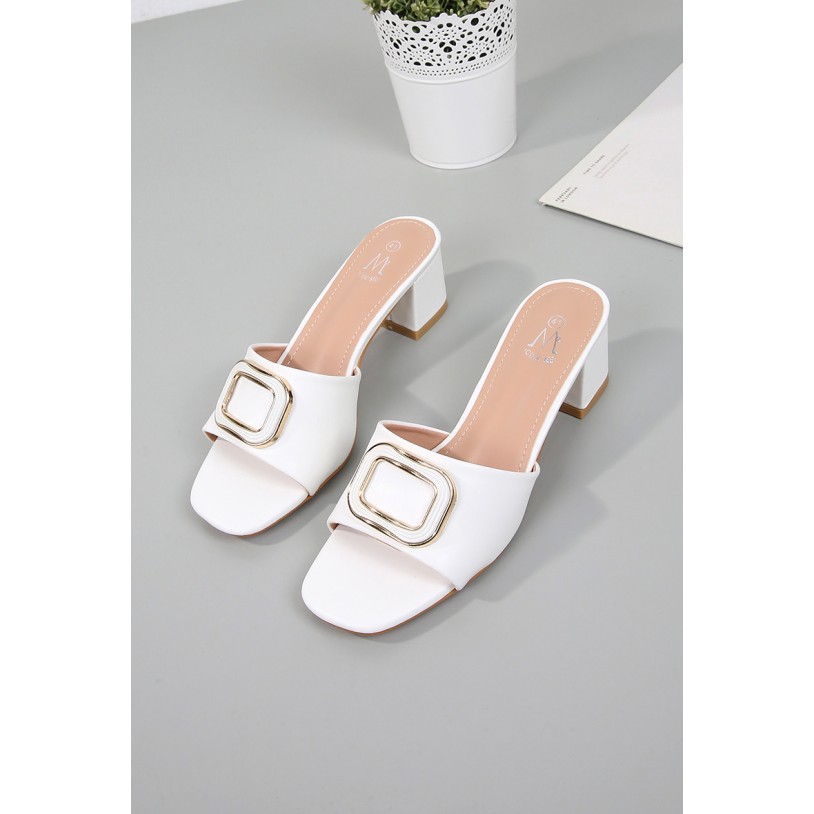 DMS5631-38 (Grande pointure)