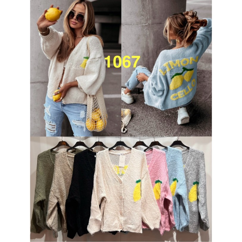 TT-1067