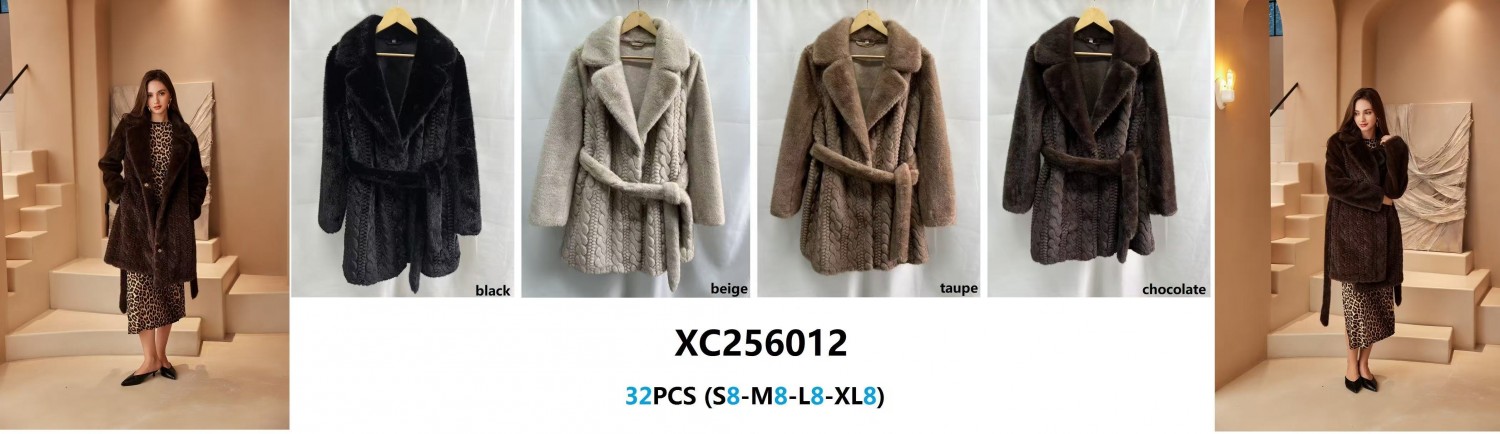 XC256012