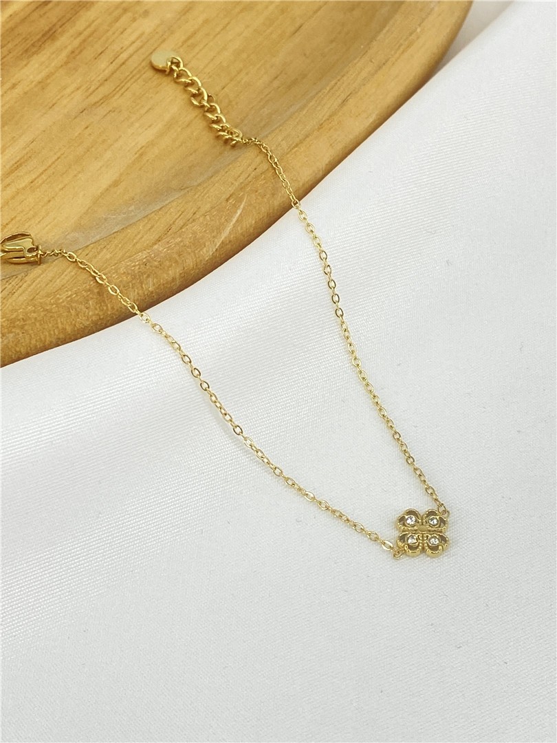 BRAC25-1-1
