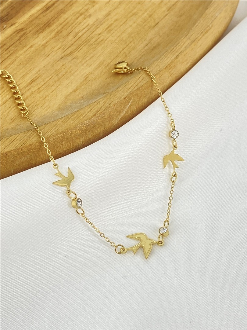BRAC35-2-1