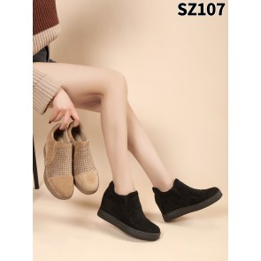 SZ107