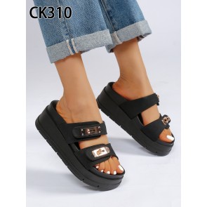 CK310