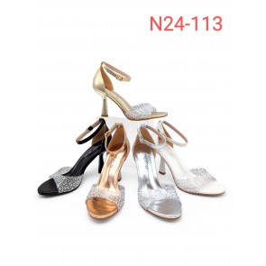 N24-113