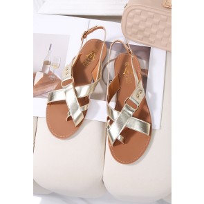 DM3UO-38 Grande pointure