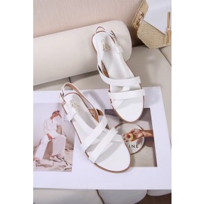 DM-7G21 Grande pointure