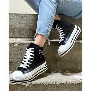 LY113