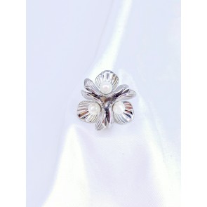 BAGUE45-55