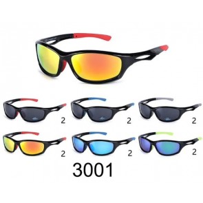 3001